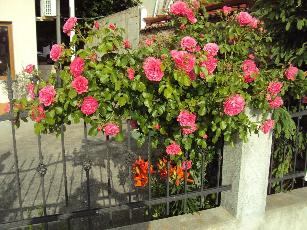 Amfora Guest House Бяла Екстериор снимка