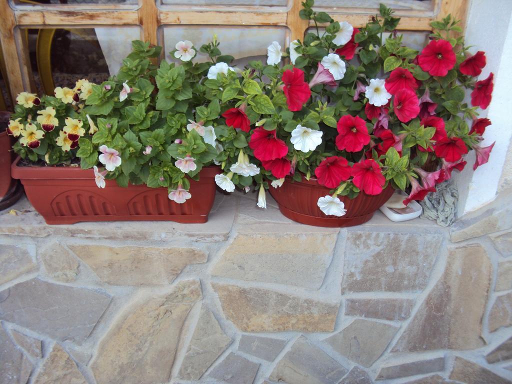 Amfora Guest House Бяла Екстериор снимка