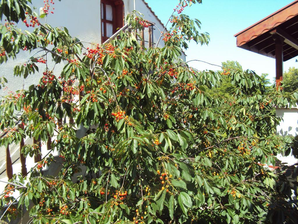Amfora Guest House Бяла Екстериор снимка